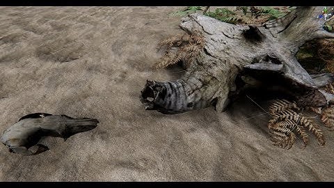 Photogrammetry: Meshroom to Unity