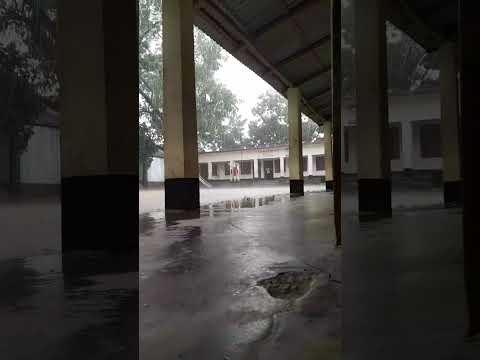 Rainy day. ytshort. beautiful nature. beauty of nature. nature lover.