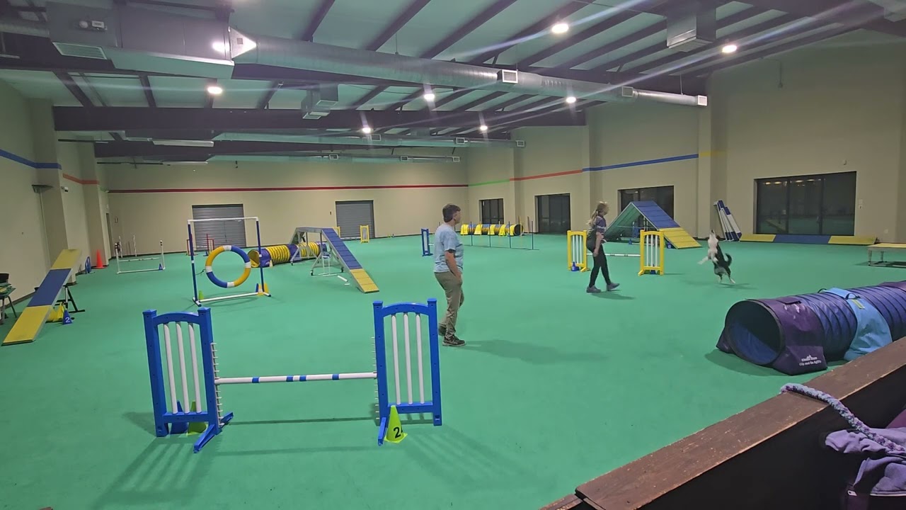 Nessie training runs 1-15-26