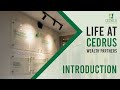 Cedrus Wealth Partners: Introduction