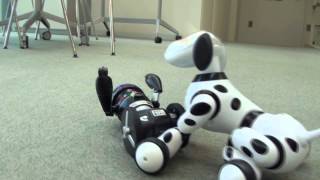Ｈｅｌｌｏ！ＭｉＰ（ハローミップ）Ｈｅｌｌｏ！Ｚｏｏｍｅｒ（ハローズーマー）　「一緒に遊んでみた！」編