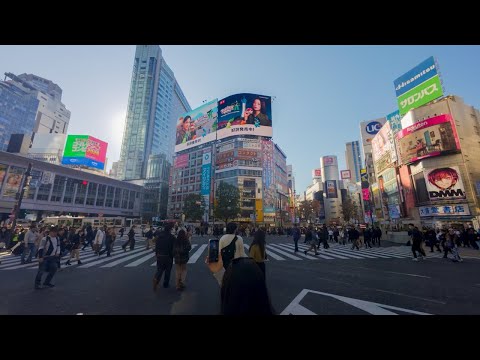 How Big Is The Horse Racing Industry In Japan