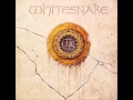 Whitesnake -  Crying Inthe Rain 1987