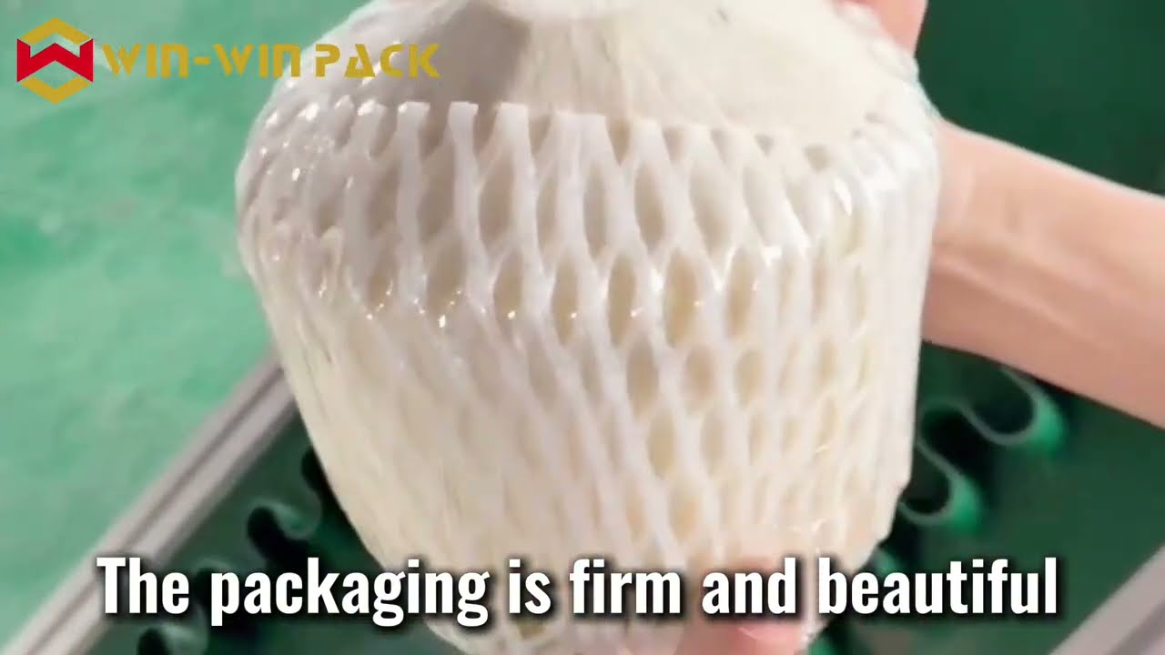 WIN-WIN PACK Coconut Cling Film Wrapping Machine — designed for speed,precision,in food packaging