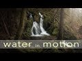 WATER in MOTION | Photographing gnarly trees and Waterfalls
