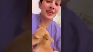 පව එය ගඩක හරතල