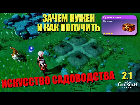 СУНДУК СЕМЯН |