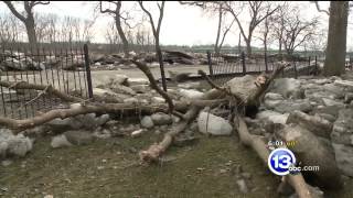Maumee Ice Jam 031615 6Pm