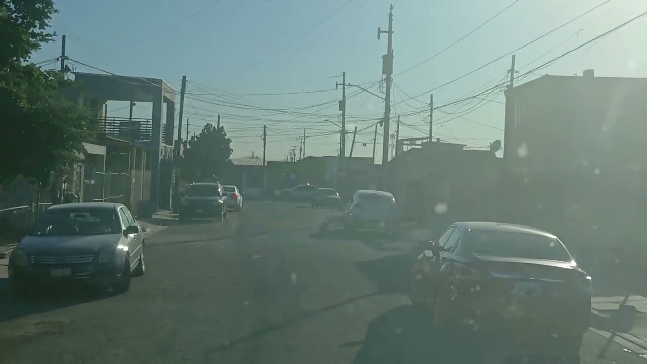 Ya conosen la planta maria  chauuu!!!!.