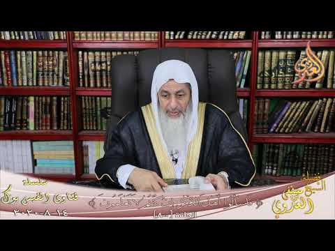 تفسير احسب الناس ان يتركوا ان يقولوا آمنا وهم لا يفتنون الشيخ مصطفي العدوي