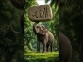 Allah