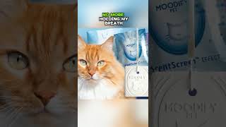 MoodifyPet Cat Box Oder Eliminator  #cat #catbox #catlover #catlitter #kitten #litterbox #pets