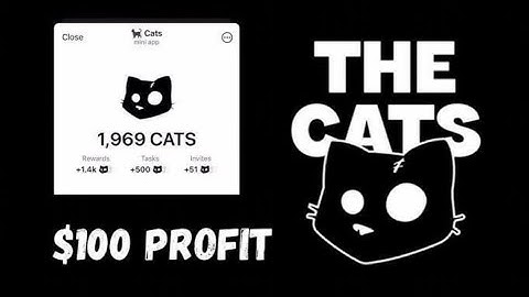 Cats Diposit Address Found | Who Is Illegible For The Cats Airdrop Criteria 😕