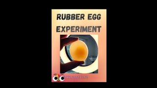 Eggs-periment anyone? 🥚