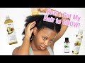 How I Got My Hair To Grow Hot Oil Pre Pooing With Oils