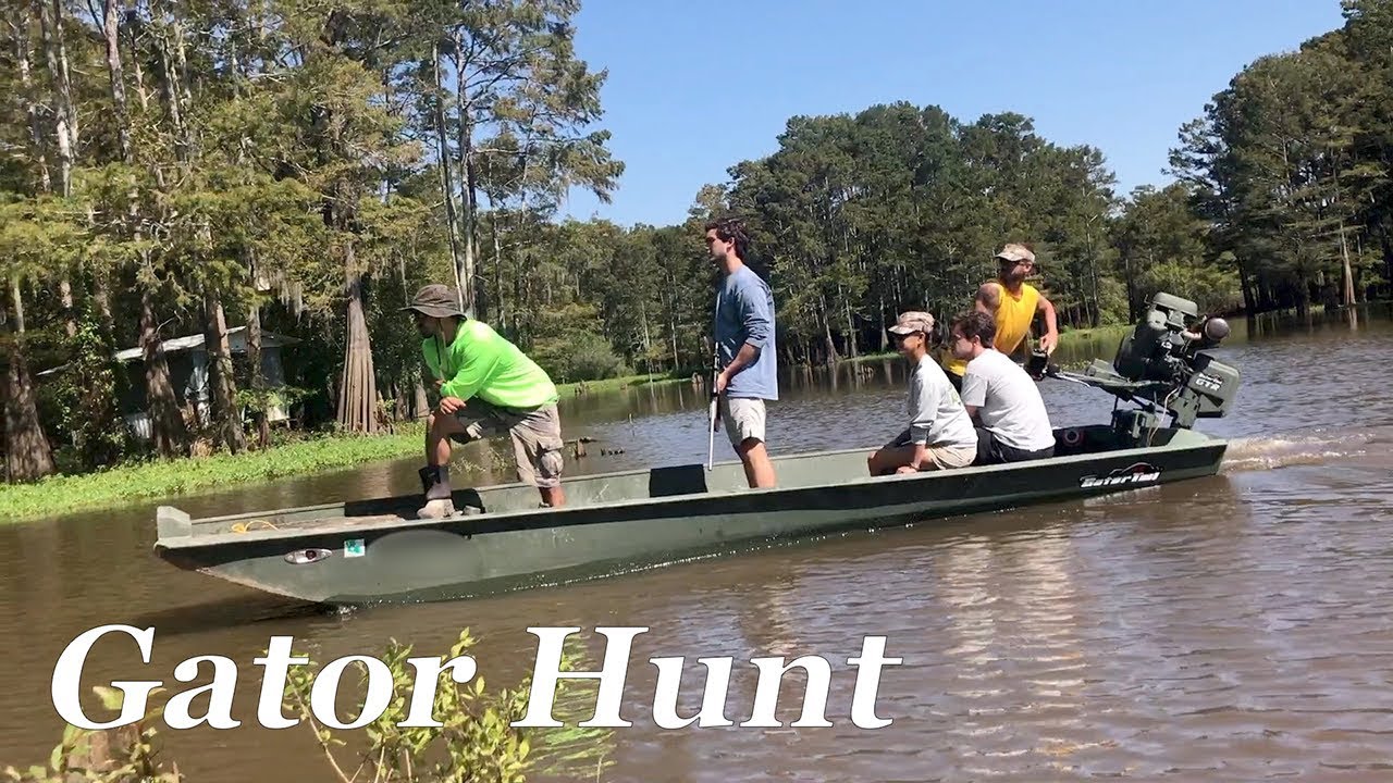 Alligator Hunting in the Atchafalaya Swamp - 2017