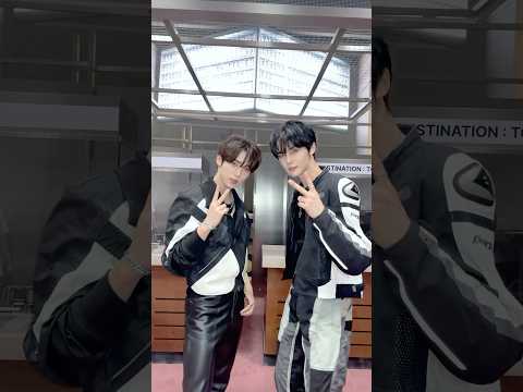 ZB1 QQ Music star light 中華 ギュビン 星5 希少 ZB1 QQ Music star light 中華 マシュ－ 星5 希少 人気特価
