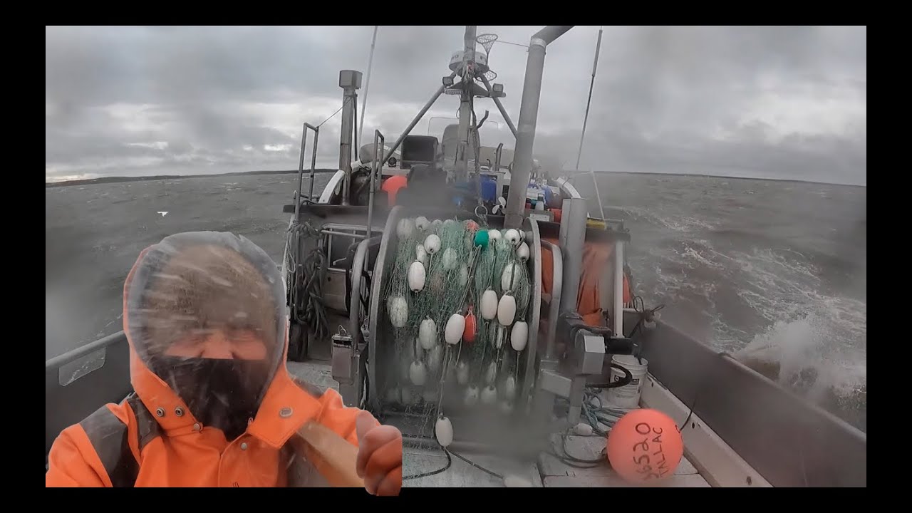 Women Commercial Salmon Fishing on a Gill Net Boat in Bristol Bay, Alaska: BIG WAVES -&- BIG FISH