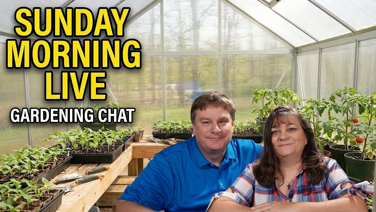 Sunday Morning Garden Chat: Potatoes, Planters & Spring Seeds!