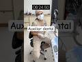 Auxiliar dental #dentista #dentist #sabaneta