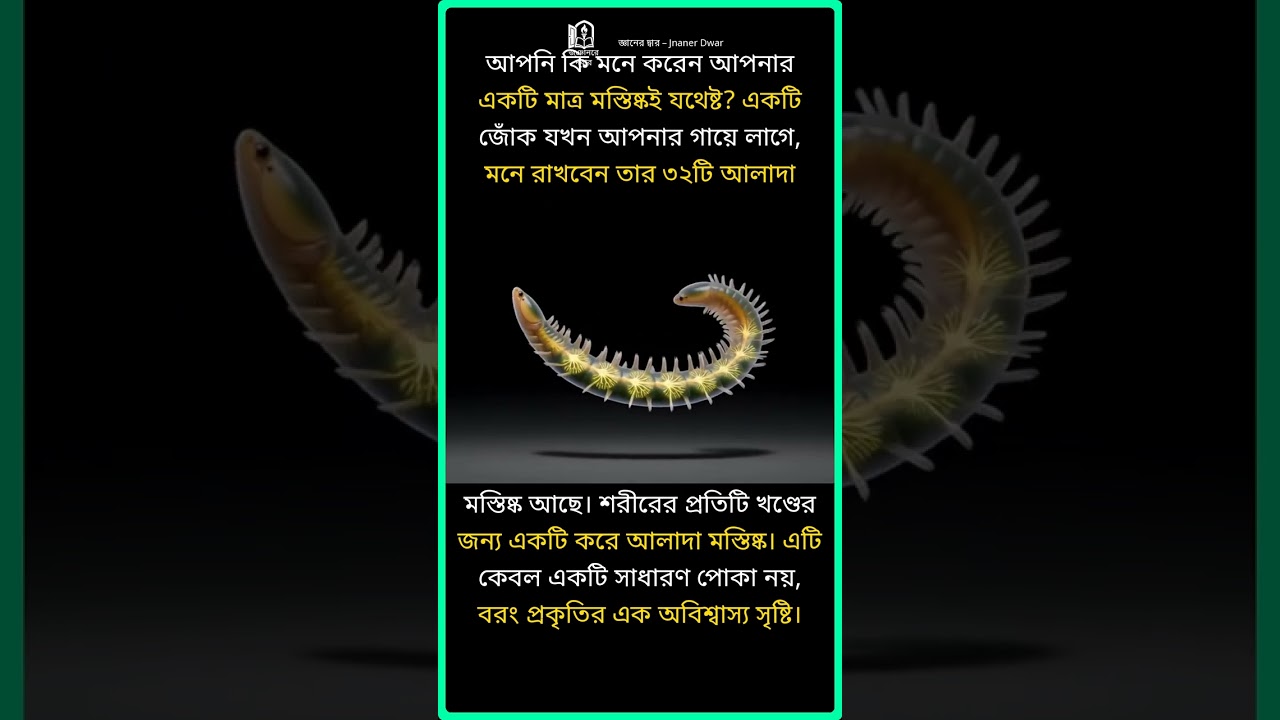 জোঁকের ৩২টি মস্তিষ্ক | The Leech's 32 Brains