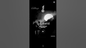 #قرآن #المصحف #قران_كريم #لايك #ياسر_الدوسري #تلاوة_خاشعة