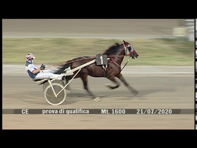 2020 07 21 | Metri 1600 | Prova di qualifica