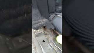 07 scion tc rear strut removal