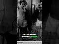 Agent Orange: The Vietnam War's Hidden Human Cost #shorts