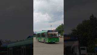 #SHORTS | ЛиАЗ-5292.22 (2-2-2), Маршрут 7 #bus #transport #копейск #バス
