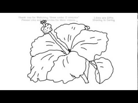 How to Draw a Hibiscus Flower Under 2 Minutes | YZArts | YZArts - YouTube