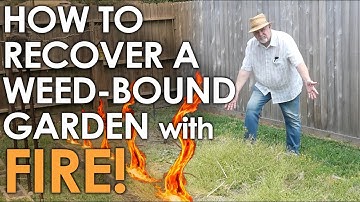 Recovering a WEEDY Garden with FIRE! || Black Gumbo