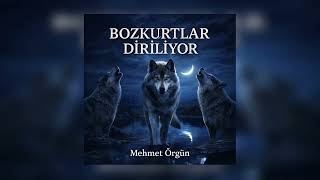 Mehmet Örgün - Bozkurtlar Diriliyor