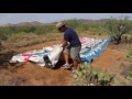 Middle of video