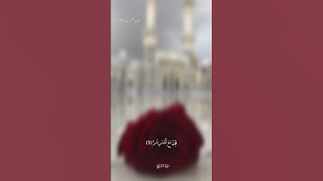 سورة الشرح #تلاوات #المصحف #اكسبلور #قرآن #سورة_الشرح