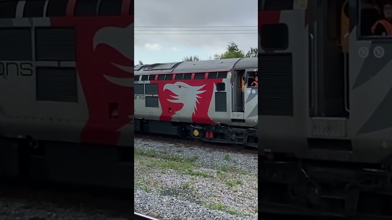 #Europhoenix #railopsgroup #ROG #Class37 #37884 #cepheus #37510 #Orion #DeanForest #DieselGala #rail