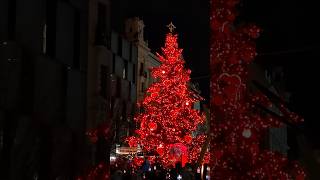 Weihnachtsmarkteröffnung in Brünn Tschechien. So schön war es. #brno #brünn #czechia #czechrepublic