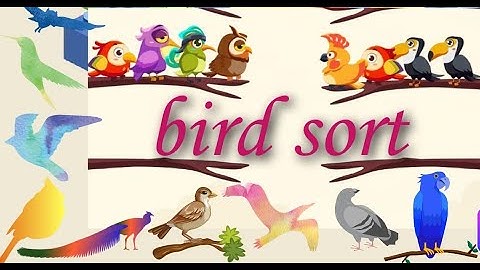 bird sort color puzzle | level 59_60_61
