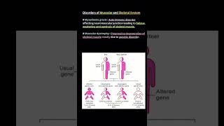 Disorders of Muscular and Skeletal system Important for RE-NEET#mysthemia gravies#muscular dystrohy#