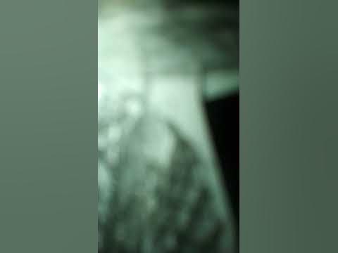 тв вумен - YouTube