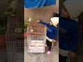 PARROT VS KIDS #birds #parrotfood #parrot #parrotfoodlist #parrotsound #handfeeding  #kanhaiyasir