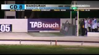 Mandurah-12082014-Race-8