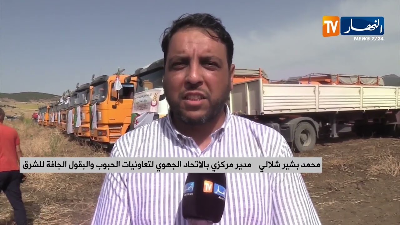 قالمة  / انطلاق حملة الحصاد وسط توقعات بإنتاج يفوق 2 مليون قنطار من الحبوب