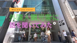 なぜ日本へ？　外国人観光客に聞いてみた　文房具店「伊東屋」