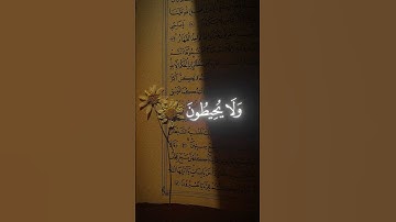 |القارئ |#ياسر-الدوسري | #االقران_الكريم | #سورة الكرسي | #راحة_نفسية |#تلاوة_خاشعة|#ارح_قلبك|☆⁩