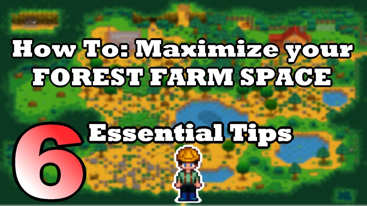 How To Organize & Profit on Forest Farm in Stardew 1.5 & 1.6 YouTube
