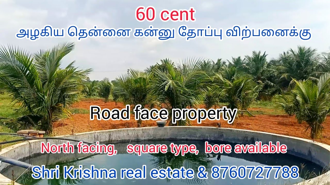 36) low budget coconut farm for sale.in kinathukadavu vadachitur are coimbatore YouTube