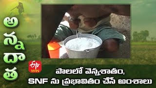 పలల వననశత, Snf న పరభవత చస అశల Factors Influencing Fat Percentage&Snf In Cattle Milk