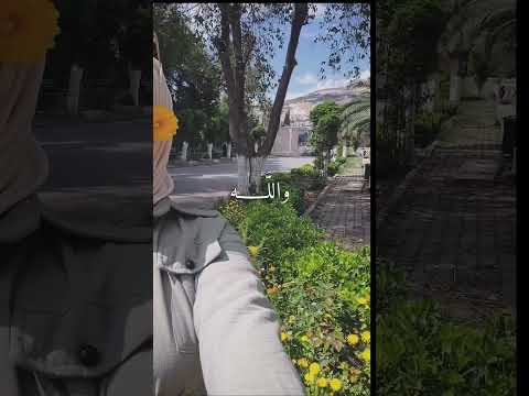 البعد عن الناس غنيمة نصيحة لك