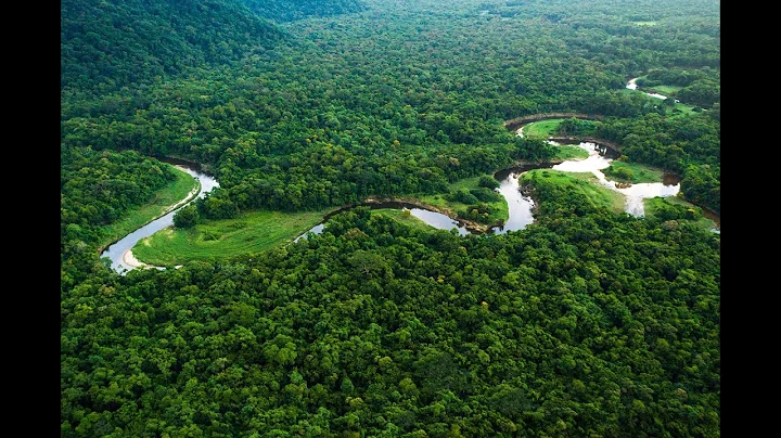 Pre-Columbian landuse and legacy effects in Amazon...